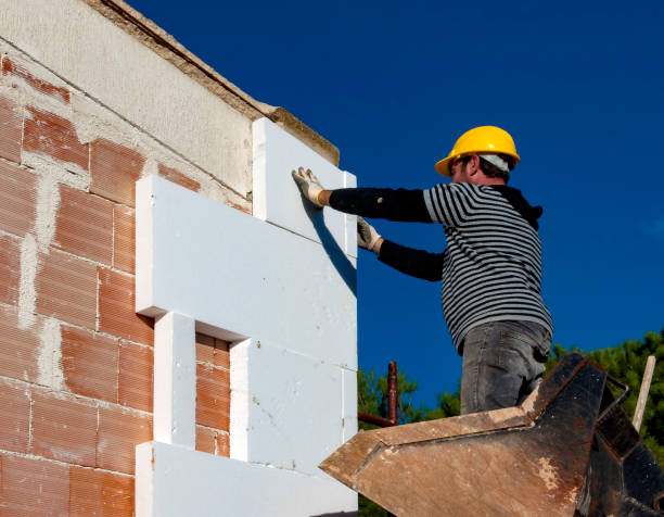 Best Insulation Inspection Services  in Branson, MO