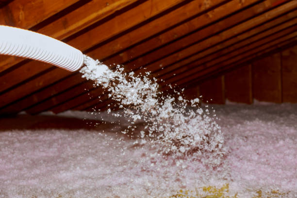 Best Garage Insulation Installation  in Branson, MO
