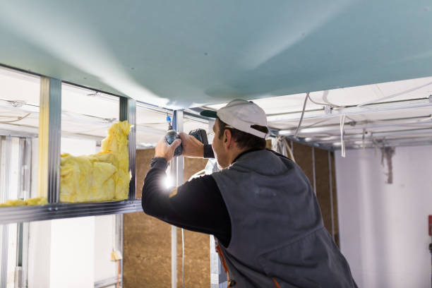 Best Insulation Contractors for Homes  in Branson, MO