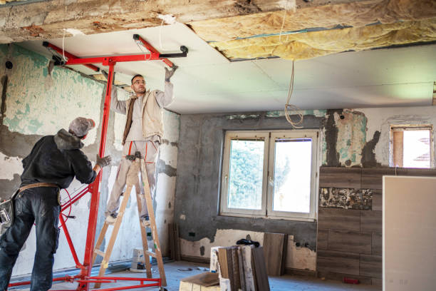 Best Insulation Contractor Near Me  in Branson, MO