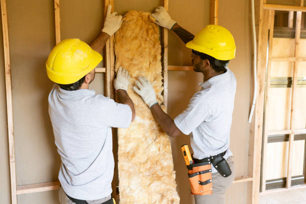 Best Attic Insulation Near Me  in Branson, MO
