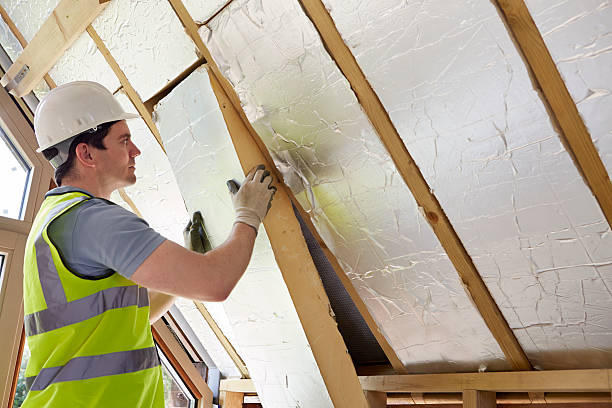 Best Insulation Repair Services  in Branson, MO