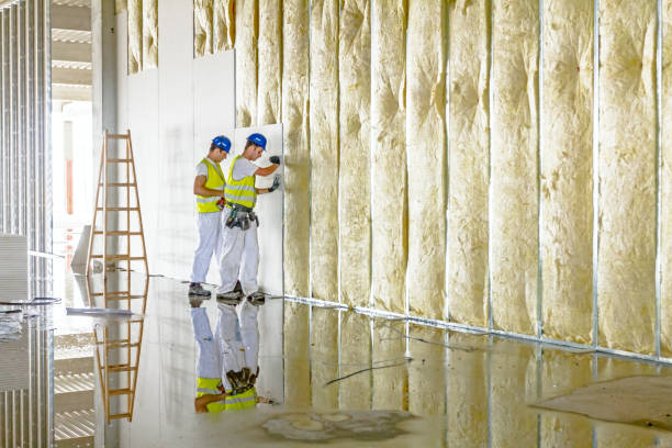 Best Spray Foam Insulation  in Branson, MO